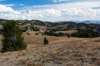 upload_2017-4-27_20-58-57.png upload_2017-4-27_20-58-57.png