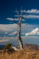 upload_2017-4-27_20-59-20.png upload_2017-4-27_20-59-20.png