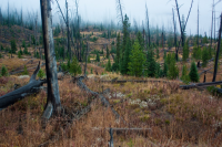 upload_2017-4-27_20-59-36.png upload_2017-4-27_20-59-36.png