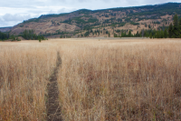 upload_2017-4-27_21-0-50.png upload_2017-4-27_21-0-50.png