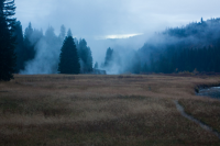 upload_2017-4-27_21-1-8.png upload_2017-4-27_21-1-8.png