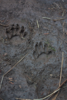 upload_2017-4-27_21-1-55.png upload_2017-4-27_21-1-55.png