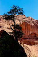 Coyote Gulch 17-130.jpg