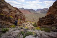 DSC08871.jpg DSC08871.jpg