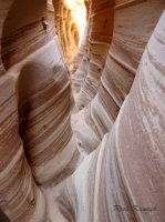 resizedverticalp1070928imp 2.jpg