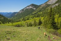 Gunnery-Grass Pass001.jpg