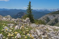 Gunnery-Grass Pass004.jpg