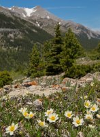 Gunnery-Grass Pass014.jpg