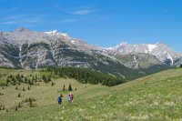 Gunnery-Grass Pass006.jpg