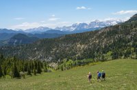 Gunnery-Grass Pass007.jpg