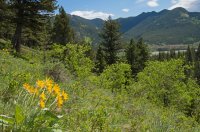 Gunnery-Grass Pass009.jpg