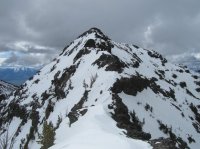 Overloook Mtn Gallatin NF MT 5.27.17 031.jpg