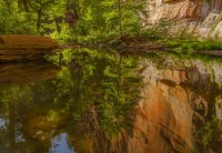 6.3.17 Amazing Cliff Reflection.jpg