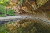 6.3.17 Alcove and Trees.jpg