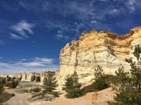 2016-04-23b copy.jpg