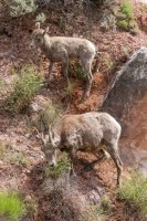 _MG_0066.jpg _MG_0066.jpg