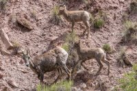 _MG_0071.jpg _MG_0071.jpg