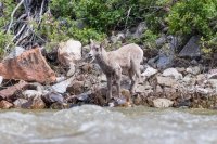 _MG_0082.jpg _MG_0082.jpg