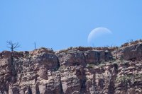 _MG_0153.jpg _MG_0153.jpg