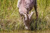 _MG_0294.jpg _MG_0294.jpg