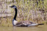 _MG_0336.jpg _MG_0336.jpg