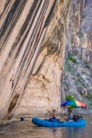 _MG_0348.jpg _MG_0348.jpg