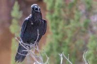 _MG_0377.jpg _MG_0377.jpg