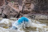 _MG_0525.jpg _MG_0525.jpg