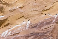 _MG_0602.jpg _MG_0602.jpg