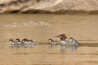 _MG_0648.jpg _MG_0648.jpg