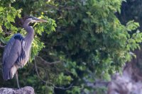 _MG_0854.jpg _MG_0854.jpg