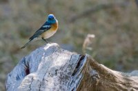 _MG_0870.jpg _MG_0870.jpg