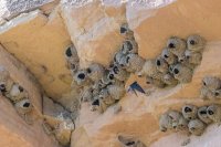 _MG_0876.jpg _MG_0876.jpg