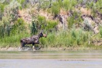 _MG_0909.jpg _MG_0909.jpg