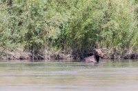 _MG_0933.jpg _MG_0933.jpg