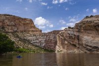 _MG_8792.jpg _MG_8792.jpg