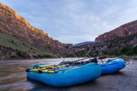 _MG_8820.jpg _MG_8820.jpg