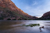 _MG_8826.jpg _MG_8826.jpg