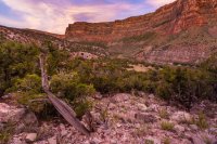 _MG_8829.jpg _MG_8829.jpg