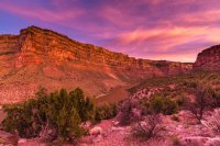 _MG_8834.jpg _MG_8834.jpg