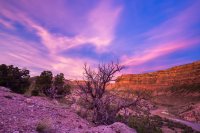 _MG_8839.jpg _MG_8839.jpg