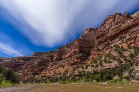 _MG_8880.jpg _MG_8880.jpg