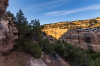 _MG_8892.jpg _MG_8892.jpg