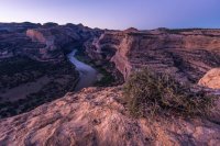 _MG_8996.jpg _MG_8996.jpg