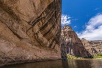 _MG_9103.jpg _MG_9103.jpg