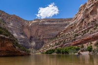 _MG_9104.jpg _MG_9104.jpg