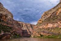 _MG_9181.jpg _MG_9181.jpg