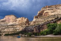 _MG_9187.jpg _MG_9187.jpg