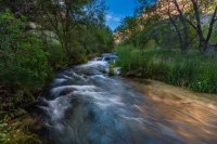 _MG_9278.jpg _MG_9278.jpg