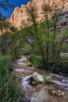 _MG_9293.jpg _MG_9293.jpg